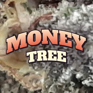 Money Tree Cannabis Strain