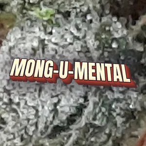 Mong-U-Mental Cannabis Strain