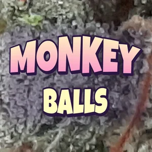 Monkey Balls Cannabis Strain