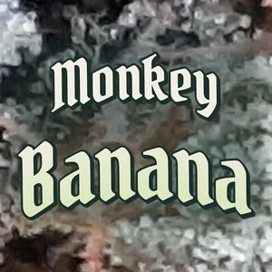 Monkey Banana Cannabis Strain
