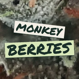 Monkey Berries Cannabis Strain