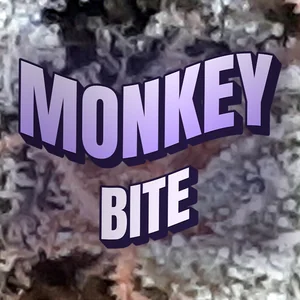 Monkey Bite Cannabis Strain