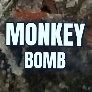 Monkey Bomb Cannabis Strain
