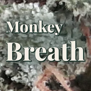 Monkey Breath Cannabis Strain