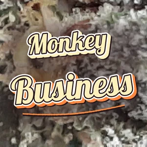 Monkey Business Cannabis Strain