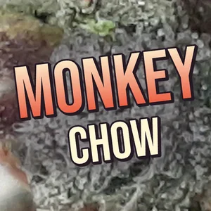 Monkey Chow Cannabis Strain