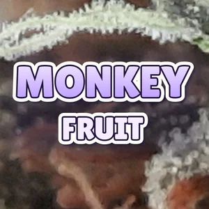 Monkey Fruit Cannabis Strain