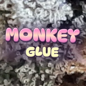 Monkey Glue Cannabis Strain