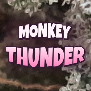 Monkey Thunder Cannabis Strain