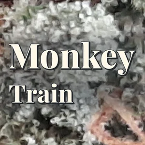 Monkey Train Cannabis Strain