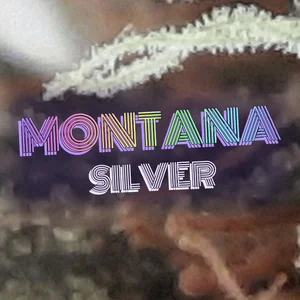 Montana Silver Cannabis Strain