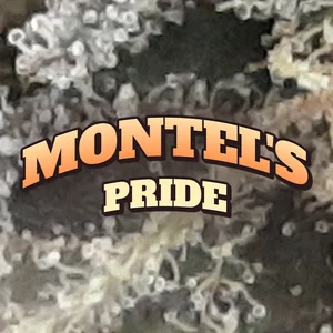Montel's Pride Cannabis Strain