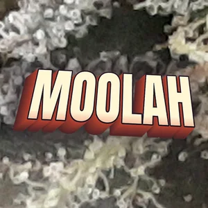 Moolah Cannabis Strain