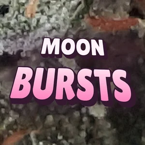 Moon Bursts Cannabis Strain