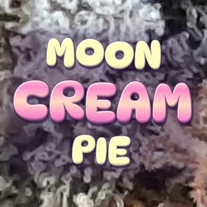 Moon Cream Pie Cannabis Strain