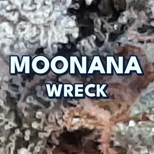 Moonana Wreck Cannabis Strain