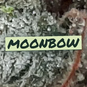 Moonbow Cannabis Strain