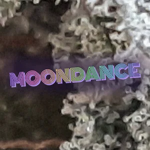 Moondance Cannabis Strain