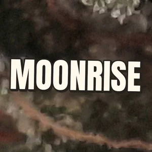 Moonrise Cannabis Strain