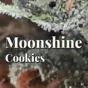 Moonshine Cookies Cannabis Strain