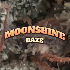 Moonshine Daze Cannabis Strain