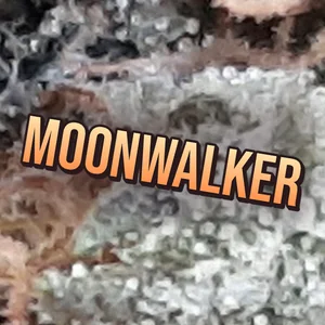 Moonwalker Cannabis Strain