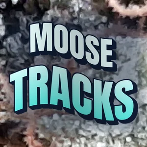 Moose Tracks Cannabis Strain