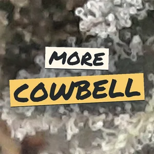 More Cowbell Cannabis Strain