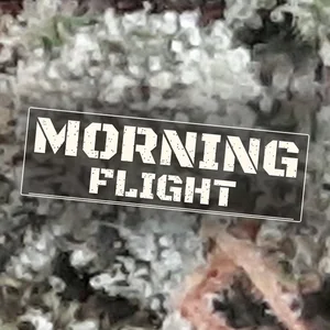 Morning Flight Cannabis Strain