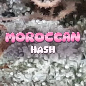 Moroccan Hash Cannabis Strain