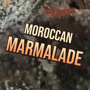 Moroccan Marmalade Cannabis Strain