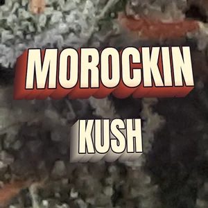Morockin Kush Cannabis Strain