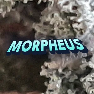 Morpheus Cannabis Strain