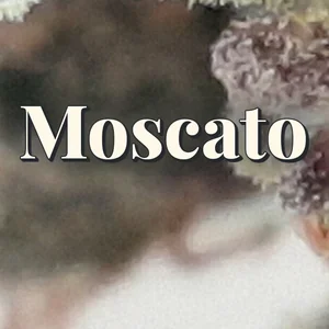 Moscato Cannabis Strain