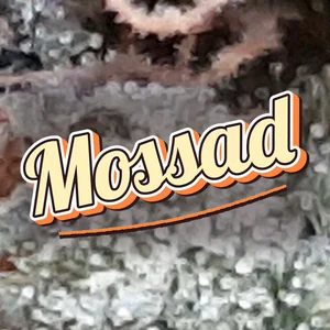 Mossad Cannabis Strain