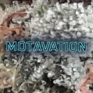 Motavation Cannabis Strain
