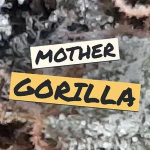 Mother Gorilla Cannabis Strain