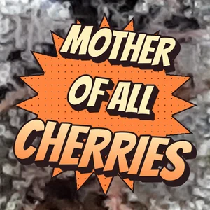 Mother of All Cherries Cannabis Strain