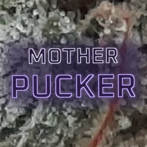 Mother Pucker Cannabis Strain