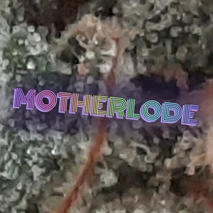 Motherlode Cannabis Strain
