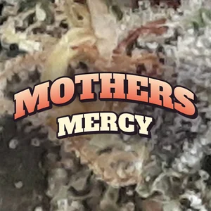 Mothers Mercy Cannabis Strain