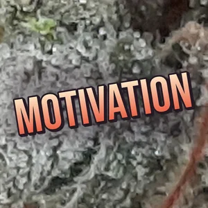 Motivation Cannabis Strain