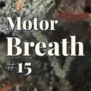 Motor Breath #15 Cannabis Strain
