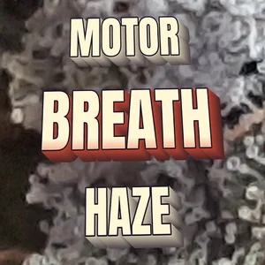Motor Breath Haze Cannabis Strain