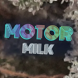 Motor Milk Cannabis Strain