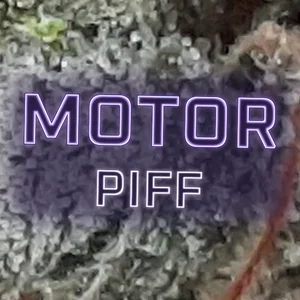 Motor Piff Cannabis Strain