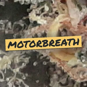Motorbreath Cannabis Strain