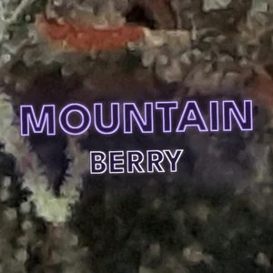 Mountain Berry Cannabis Strain