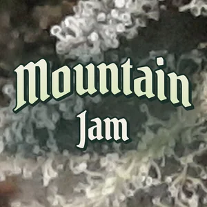 Mountain Jam Cannabis Strain