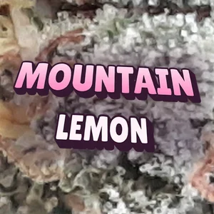 Mountain Lemon Cannabis Strain